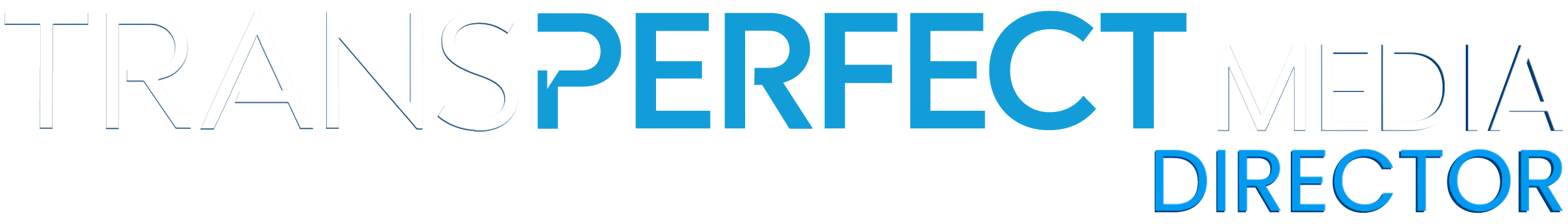 transperfect media director